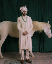 A man wearing a traditional pink hand embroidered sherwani and matching turban stands in front of a dark green draped backdrop with a white horse behind him.