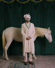 A man wearing a traditional pink hand embroidered sherwani and matching turban stands in front of a dark green draped backdrop with a white horse behind him.