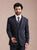 Navy Blue Notch Collared Suit
